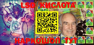 индика Ярославль